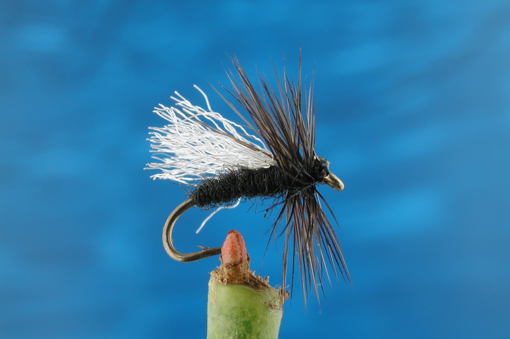 Our Quality Standards