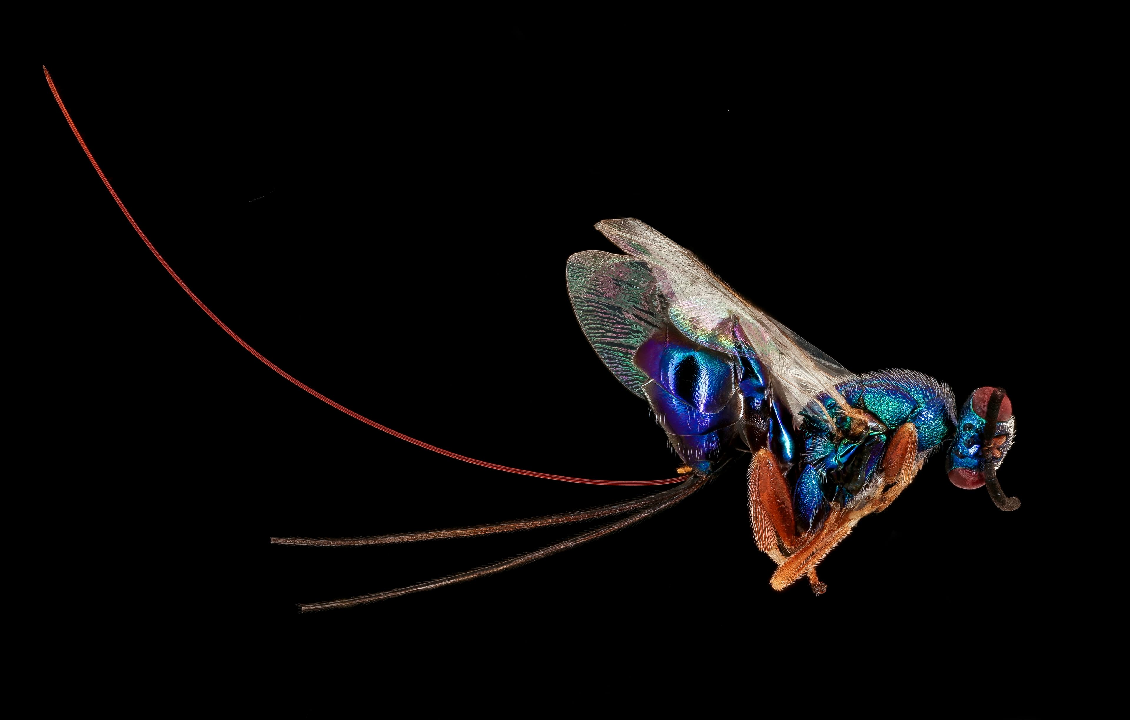 About Road Side Fishing